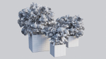 Ixora planter 01
