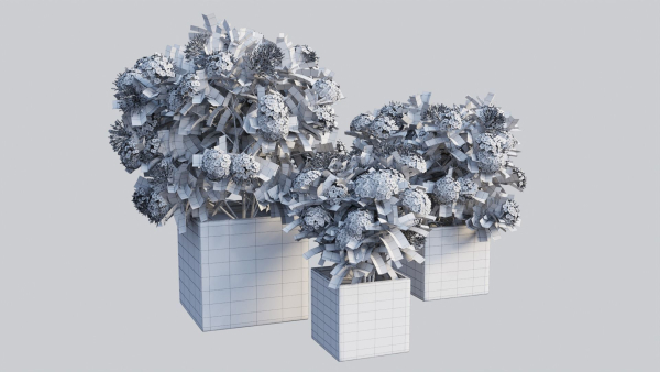 Ixora planter 01