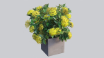 Ixora planter 01