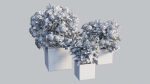Ixora planter 02