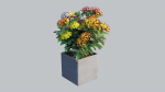 Ixora planter 02