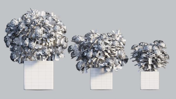 Ixora planter 03