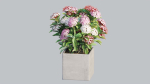 Ixora planter 03