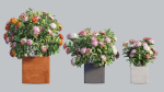 Ixora planter 03