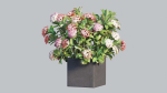Ixora planter 03