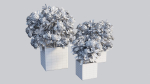 Ixora planter 03
