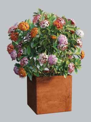 ixora-planter-03-3d-model-db6724c27f
