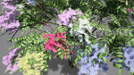 Japanese Angelica Colors Tree