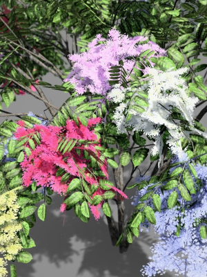 japanese-angelica-colors-tree-3d-model-low-poly-obj-3ds-fbx-dae-cga