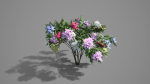 Japanese Angelica Colors Tree