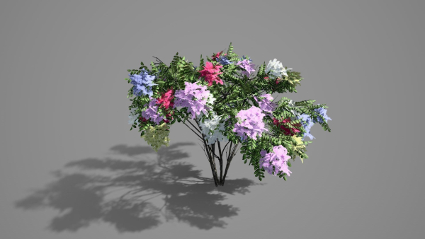 Japanese Angelica Colors Tree