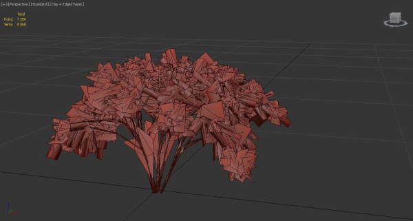 Japanese Angelica Colors Tree