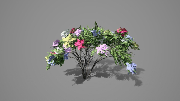 Japanese Angelica Colors Tree