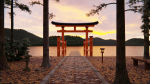 Japanese Bamboo Path 3d Scene