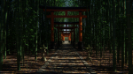 Japanese Bamboo Path 3d Scene