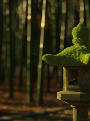 japanese-bamboo-path-3d-scene-3d-model-7cfb6c9501