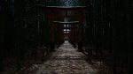 Japanese Bamboo Path 3d Scene