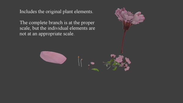 Japanese Cherry Blossom v2 - Branch for Particle Generation