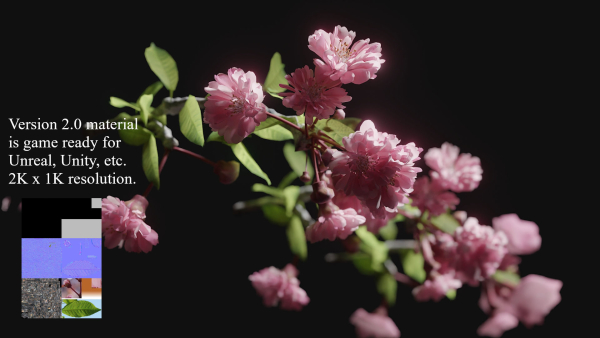 Japanese Cherry Blossom v2 - Branch for Particle Generation