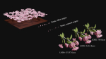 Japanese Cherry Blossom v2 - Branch for Particle Generation