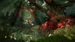Japanese Forest Grave