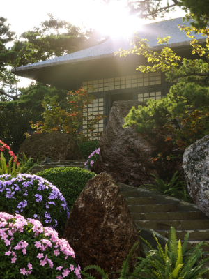 japanese-garden-bundle-06-3d-model