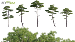Japanese garden - Bundle 06
