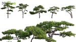 Japanese garden - Bundle 06