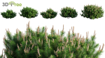 Japanese garden - Bundle 06