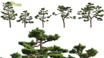 Japanese garden - Bundle 06
