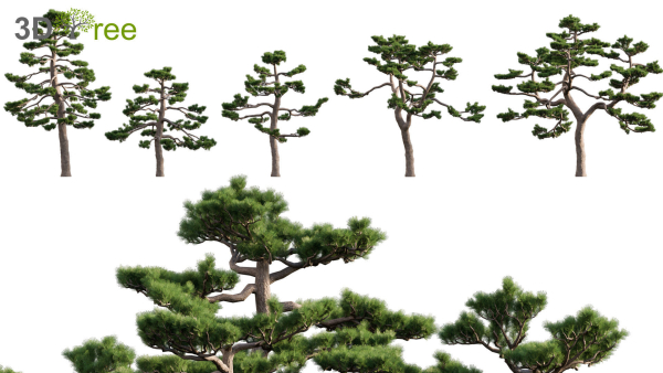 Japanese garden - Bundle 06