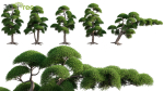 Japanese garden - Bundle 06