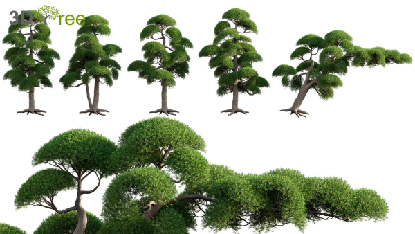 Japanese garden - Bundle 06