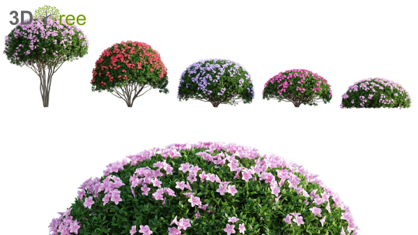 Japanese garden - Bundle 06