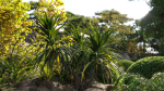 Japanese garden - Bundle 06