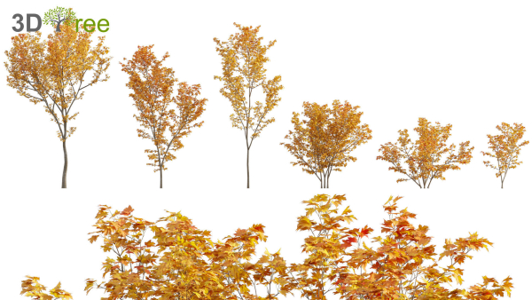 Japanese garden - Bundle 06