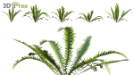 Japanese garden - Bundle 06