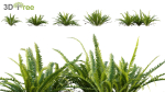 Japanese garden - Bundle 06