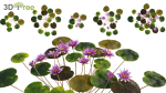 Japanese garden - Bundle 06