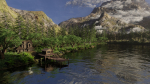 Jungle Scene