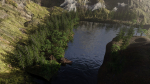 Jungle Scene