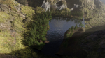 Jungle Scene