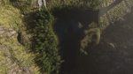 Jungle Scene