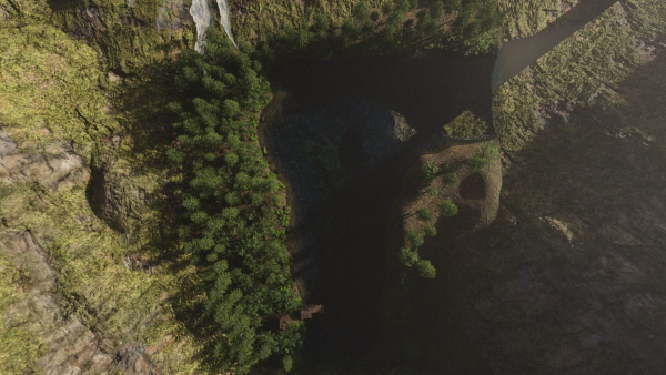 Jungle Scene