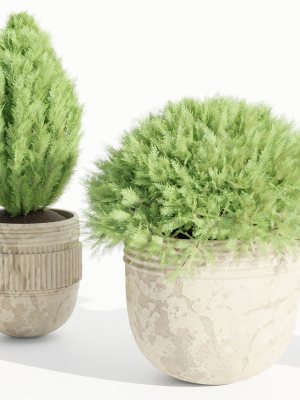 juniper cypress collection vol 114-Blender