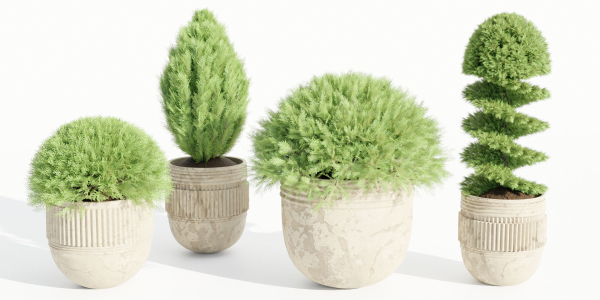 juniper cypress collection vol 114-Blender