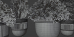 juniper cypress collection vol 114-Blender