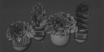juniper cypress collection vol 114-Blender