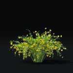 Kerria japonica flowering bush