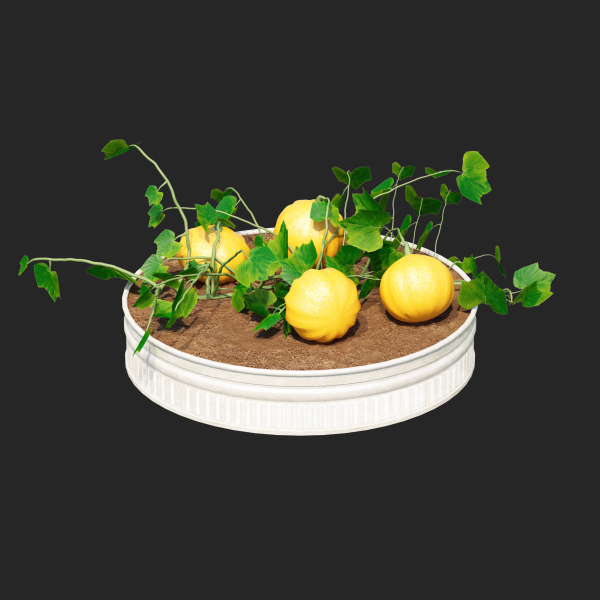 Kitchen garden vol 2
